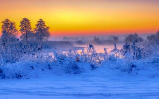 Картинка зима, снег, утро, изморозь, рассвет, река, восход, деревья, Poland, камыш, Река Гвда, River Gwda, Польша