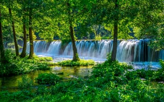 Картинка зелень, лес, водопад