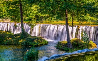 Картинка зелень, лес, поток, свет, водопад