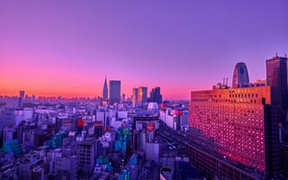 Картинка city, skyline, colored, purple, building