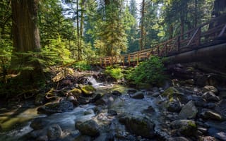 Картинка United States, River, Forest, Deception Falls