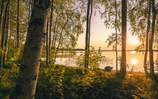 Картинка Солнце, Природа, Озеро, Sunrise, Деревья, Nature, Финляндия, Finland