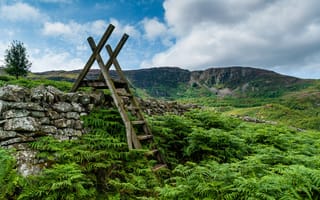 Картинка Snowdonia, Ganllwyd, Ladder stile at Coed Ganllwyd, Wales