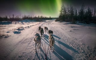 Картинка Дорога, Ночь, Деревья, Лес, Снег, Северное сияние, Канада, Canada