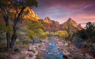 Картинка облака, деревья, Zion National Park, Utah, горы, красота природы, США, река