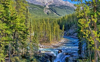 Картинка горы, Alberta, река, лес, Джаспер, Sunwapta River, Альберта, водопад, Sunwapta Falls, Канада, Jasper National Park, Canada