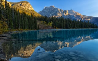 Картинка лес, горы, Британская Колумбия, отражение, озеро, British Columbia, Канада, Canada