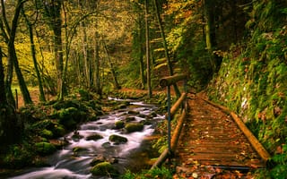 Картинка осень, лес, речка, деревья, Germany, мост, Германия, ручей
