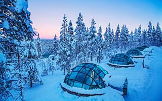 Картинка Зима, Деревья, Finland, Lapland, Финляндия, Лапландия, Снег, Kakslauttanen Arctic Resort