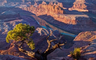 Картинка штат Юта, свет, США, река, дерево, солнечный, каньон, Горы