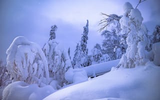 Картинка зима, снег, природа, деревья, склон, пейзаж