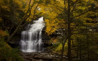 Картинка осень, лес, деревья, водопад, Пенсильвания, Pennsylvania, речка, каскад
