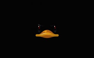 Картинка minimal, dark, Duck