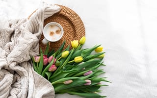 Картинка цветы, тюльпаны, cozy, tulips, свитер, чашка кофе, bouquet, coffee cup, flowers