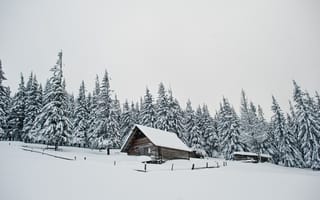 Картинка зима, снег, snow, nature, landscape, hut, fir tree, village, winter, frozen, snowy, деревья