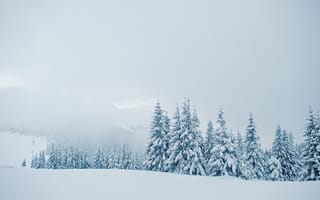 Картинка зима, снег, frozen, nature, деревья, snowy, fir tree, горы, mountains, landscape, winter, snow