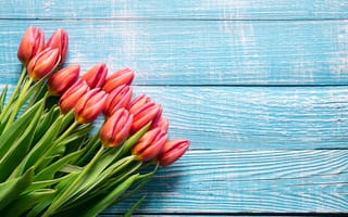 Картинка цветы, букет, red, flowers, fresh, весна, colorful, тюльпаны