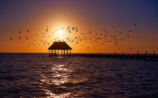 Картинка Вода, Море, Пирс, Isla Holbox, Исла Холбокс, Птицы, Мексика, Mexico