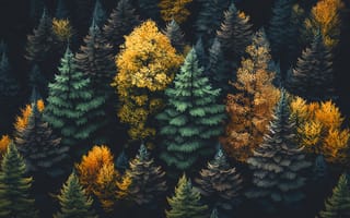 Картинка forest, top view, trees, пейзаж, autumn, landscape, осень, лес, colorful, dark, generative