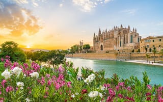 Картинка Цветы, Речка, Испания, Spain, Майорка, Palma Cathedral, Palma de Mallorca, Mallorca