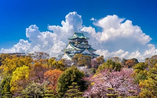 Картинка весна, сакура, дворец, blossom, Japan, sakura, цветение, pink