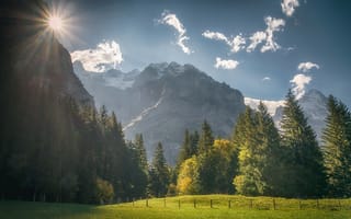 Картинка лес, деревья, Швейцария, Grindelwald, Switzerland, горы, Bernese Alps, луг