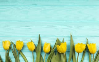 Картинка цветы, букет, flowers, wood, yellow, colorful, голубой, тюльпаны