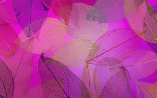 Картинка листья, abstract, colorful, leaves, autumn, texture