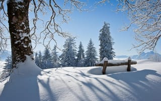 Картинка снег, горы, дерево, скамейка, ели, Зима