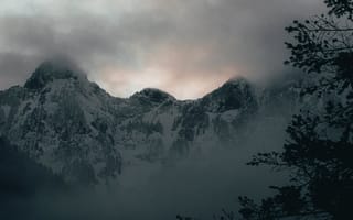 Картинка зима, небо, природа, тучи, снег, туман, горы, деревья
