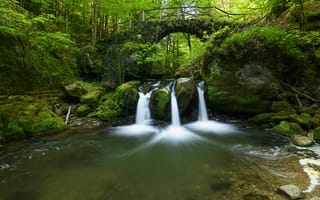 Картинка лес, мост, река, водопад, мох, камни, Люксембург, Luxembourg
