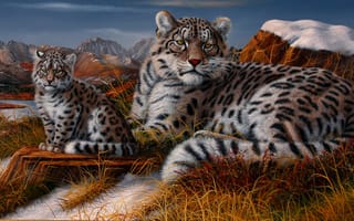Картинка Горы, Котенок, Барсы, Арт, Ирбис, Двое, Детеныш