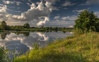 Картинка красота, зелень, Летний вечер, облака, река, деревья, небо