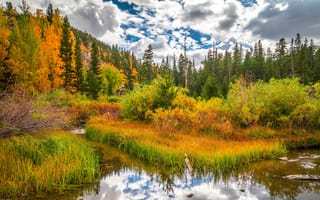 Картинка Калифорния, США, Сьерра-Невада