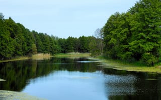 Картинка деревья, природа, река, красота
