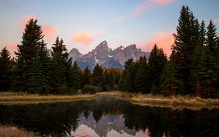 Картинка Лес, Вайоминг, США, USA, Jackson, Wyoming, Джексон, Sunrise