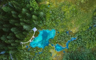 Картинка Озеро, Словения, Лесной природный заповедник Зеленчи, Lake, Forest Zelenci Nature Reserve, Sloveniam