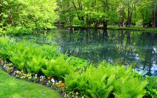 Картинка green, park, lake