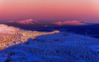 Картинка зима, деревья, expanse, view of the snowy forest, горы, mountains, простор, winter