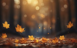 Картинка осень, листья, forest, park, парк, autumn