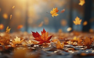 Картинка осень, листья, autumn, leaves, парк, park, forest