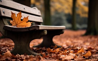 Картинка осень, листья, trees, скамейка, парк, leaves, autumn, park