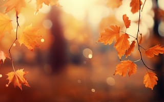Картинка осень, листья, park, autumn, forest, парк