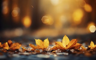 Картинка осень, листья, forest, autumn, парк, park
