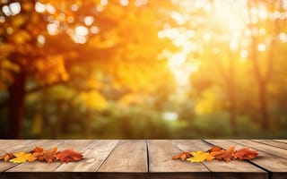 Картинка осень, листья, park, парк, forest, autumn