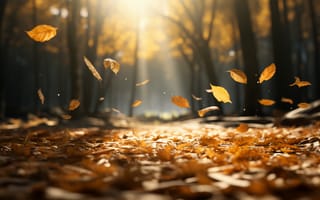 Картинка осень, лес, парк, листья, forest, park