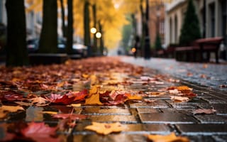 Картинка осень, листья, leaves, autumn, улица, street