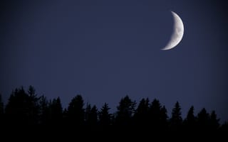 Картинка небо, деревья, луна, ночь, Marsel Minga, природа