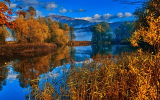 Картинка осень, деревья, камыш, Альпы, горы, Австрия, отражение, река