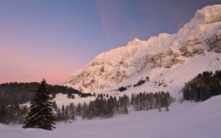 Картинка Швейцария, Schwagalp Pass, Switzerland, горный перевал, ели, зима, горы, Alps, снег, Альпы
